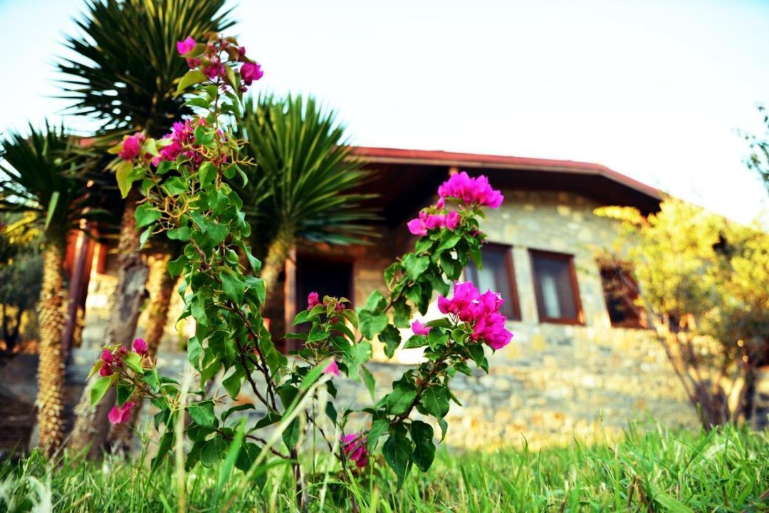 Pir Efes Konaklari Izmir Exterior photo